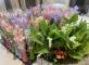 Le parfum du muguet, écho des souvenirs Résidence Le Cap Bois-Colombes