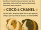 Nos cochons d'Inde s'appellent... Coco & Chanel Résidence Le Cap Bois-Colombes